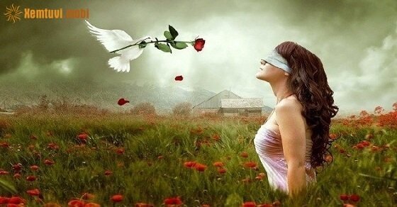 Họ yêu bằng cảm nhận con tim