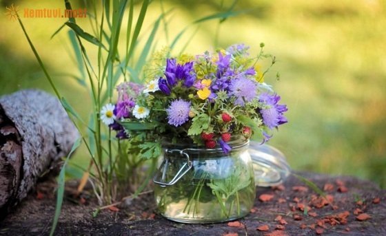 Bói tử vi ngày 29/6/2017 thứ 5 của 12 con giáp