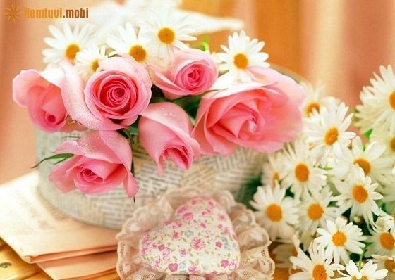 Bói tử vi ngày 3/7/2017 thứ 2 của 12 con giáp