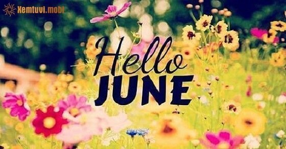 Xem ngày, giờ đẹp trong tháng 6