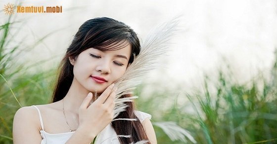 Họ thích vẻ đẹp hoàn mỹ không tì vết