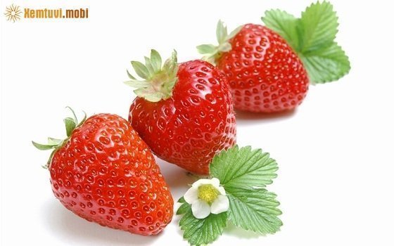 Bói tử vi ngày 24/6/2017 thứ 7 của 12 con giáp