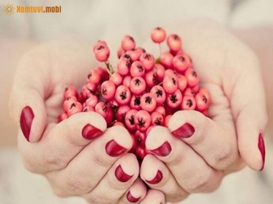 Tử vi hàng ngày 12 con giáp thứ 3 ngày 13/6/2017