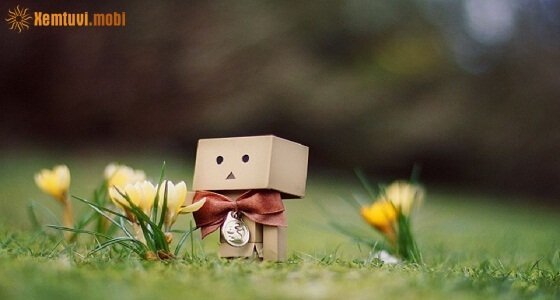 Xem bói tử vi thứ 6 ngày 16/6/2017