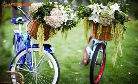 Bói tử vi ngày 2/7/2017 chủ nhật của 12 con giáp