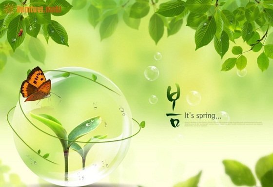 Tử vi ngày 28/6/2017 thứ 4 của 12 con giáp