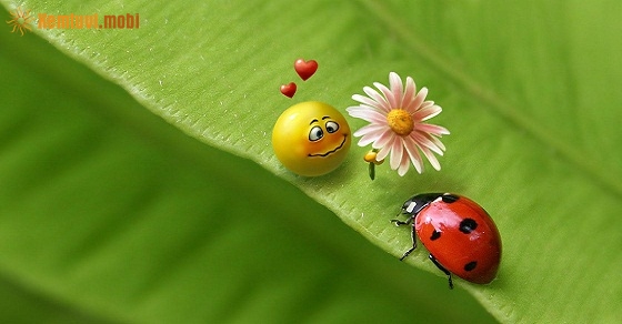 Tử vi ngày 19/6/2017 thứ 2 của 12 con giáp