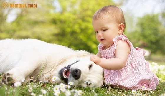 Xem bói tử vi 12 con giáp thứ 3 ngày 20/6/2017