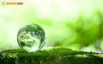 Xem bói tử vi ngày 20/6/2017 thứ 3 của 12 cung hoàng đạo Xem bói tử vi ngày 20/6/2017 thứ 3 của 12 cung hoàng đạo