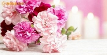 Xem bói tử vi ngày 28/6/2017 thứ 4 của 12 cung hoàng đạo Xem bói tử vi ngày 28/6/2017 thứ 4 của 12 cung hoàng đạo