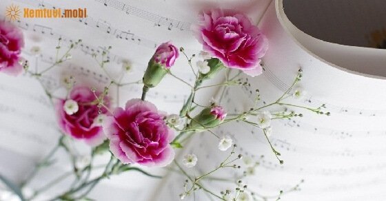 Bói tử vi ngày 21/6/2017 thứ 4 của 12 con giáp