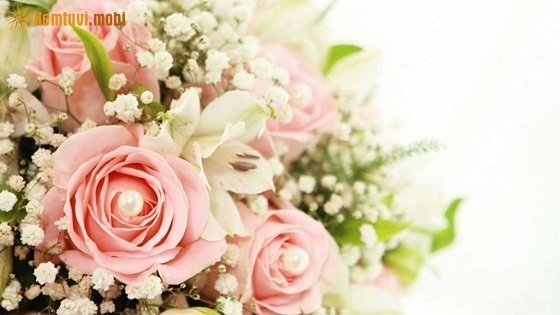 Tử vi 12 con giáp ngày 1/7/2017 thứ 7