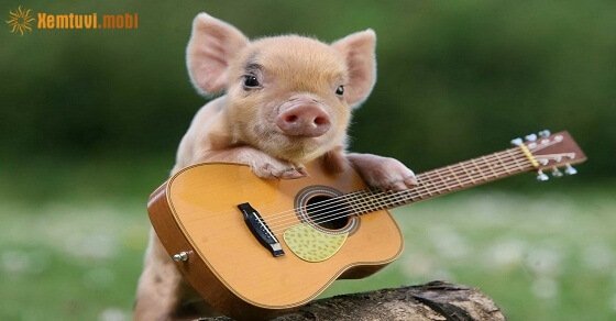 Tử vi ngày 3/6/2017 thứ 7 của 12 con giáp