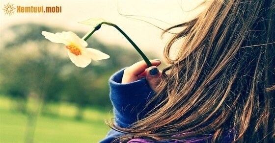 Xem bói tử vi ngày 6/7/2017 thứ 5 của 12 con giáp Xem bói tử vi ngày 6/7/2017 thứ 5 của 12 con giáp