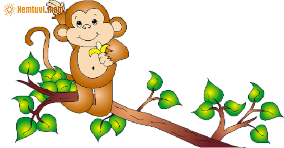 Tìm con số may mắn hôm nay cho tuổi Thân Tìm con số may mắn hôm nay cho tuổi Thân