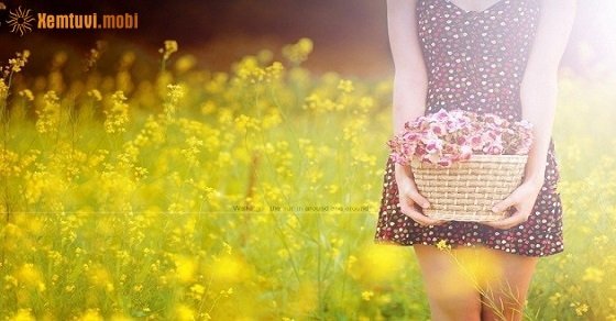 Tử vi ngày 10/7/2017 thứ 2 của 12 con giáp Tử vi ngày 10/7/2017 thứ 2 của 12 con giáp