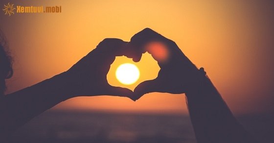 Bói tử vi ngày 01/08/2017 thứ 3 của 12 con giáp