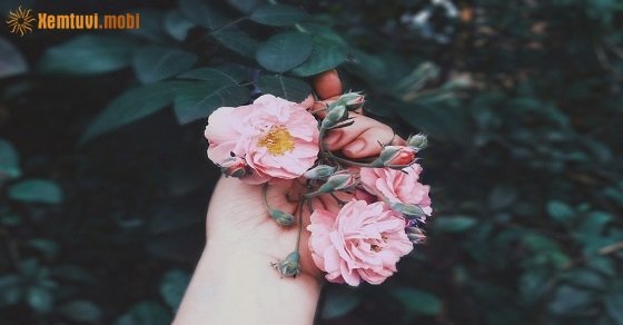 Bói tử vi ngày 29/7/2017 thứ 7 của 12 con giáp