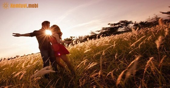 Tử vi ngày 7/7/2017 thứ 6 của 12 con giáp Tử vi ngày 7/7/2017 thứ 6 của 12 con giáp