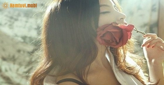 Tử vi ngày 2/9/2017 thứ 7 của 12 con giáp Tử vi ngày 2/9/2017 thứ 7 của 12 con giáp