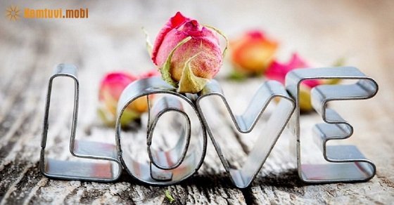 Tử vi ngày 25/8/2017 thứ 6 của 12 con giáp