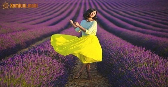 Tử vi ngày 28/8/2017 thứ 2 của 12 cung hoàng đạo