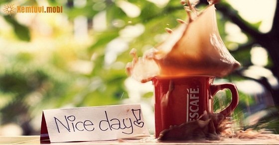 Bói tử vi ngày 6/8/2017 chủ nhật của 12 con giáp