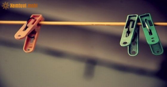 Bói tử vi ngày 13/8/2017 chủ nhật của 12 con giáp