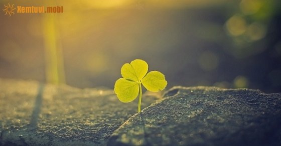 Tử vi ngày 15/8/2017 thứ 3 của 12 con giáp