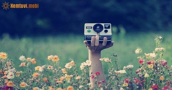 Tử vi ngày 18/8/2017 thứ 6 của 12 con giáp