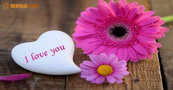 Bói tử vi ngày 2/9/2017 thứ 7 của 12 con giáp Bói tử vi ngày 2/9/2017 thứ 7 của 12 con giáp