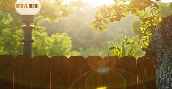 Bói tử vi ngày 28/8/2017 thứ 2 của 12 con giáp