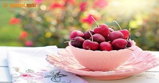 Xem tử vi 12 con giáp ngày 1/11/2017 thứ 4