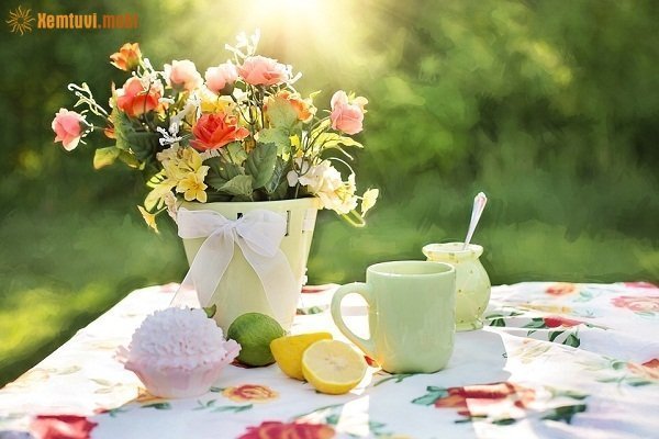 Xem bói tử vi ngày 27/10/2017 của 12 con giáp