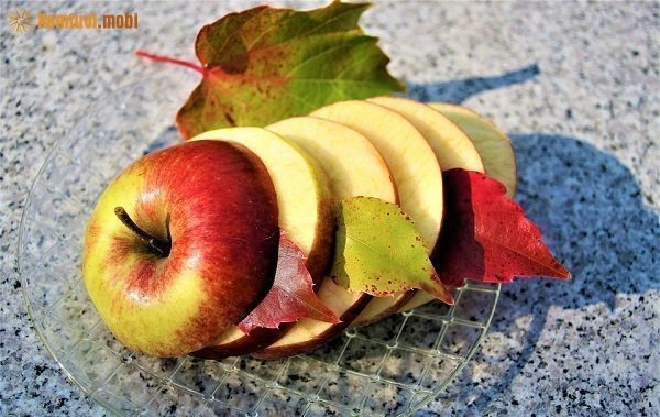 Tử vi 12 con giáp ngày 30/10/2017 hôm nay