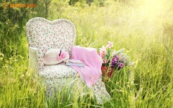 Tử vi 12 con giáp ngày 1/11/2017 thứ 4