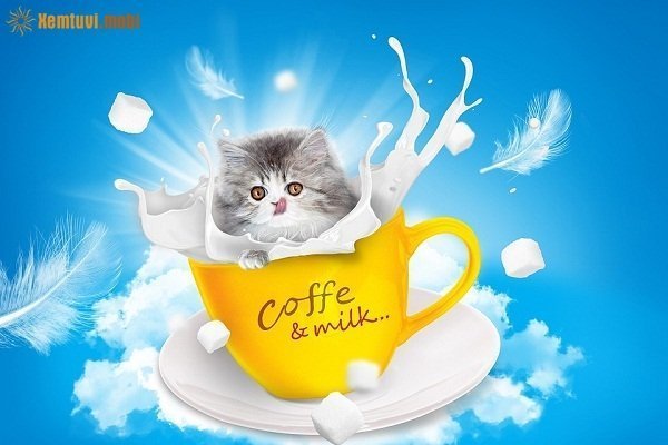 ​​​​​​​Xem bói tử vi 12 con giáp ngày 18/10/2017 thứ 4 