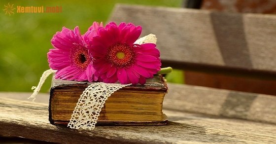 ​​​​​​​Bói tử vi ngày 9/10/2017 thứ 2 của 12 con giáp