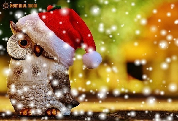 Bói tử vi ngày 16/10/2017 thứ 2 của 12 con giáp