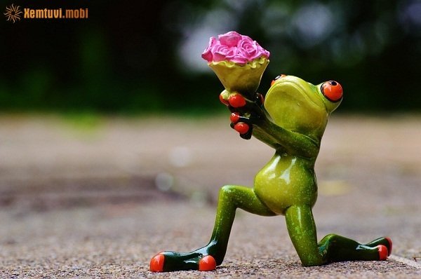 Bói tử vi ngày 19/10/2017 thứ 5 của 12 con giáp