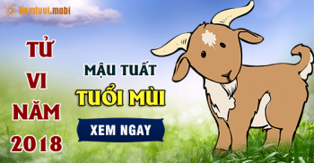 Xem bói tử vi năm 2018 cho người tuổi Mùi