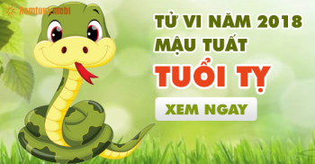 Xem bói tử vi cho người tuổi Tỵ năm 2018 Xem bói tử vi cho người tuổi Tỵ năm 2018