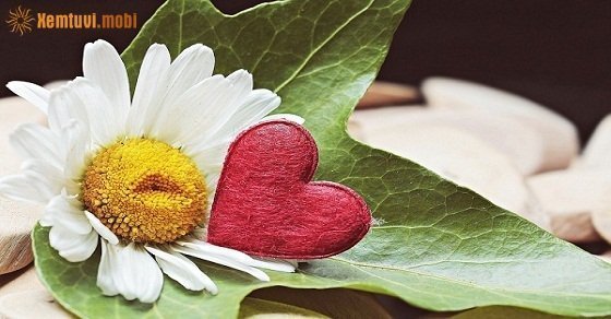 Xem tử vi 12 con giáp ngày 24/10/2017 thứ 3