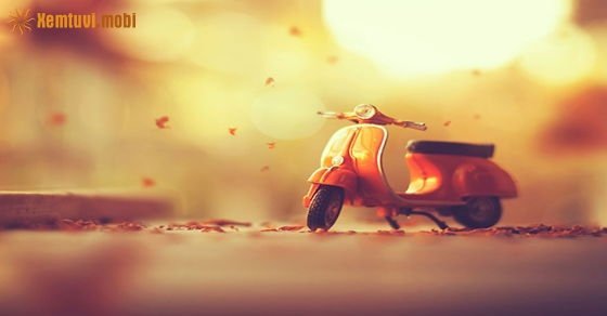 Tử vi ngày 8/10/2017 chủ nhật của 12 con giáp