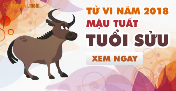 Xem bói tử vi năm 2018 cho người tuổi Sửu