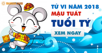 Xem bói tử vi năm 2018 cho người tuổi Tý