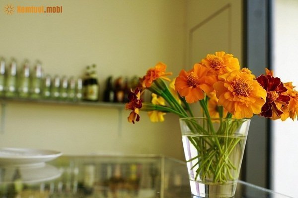 Tử vi ngày 6/10/2017 thứ 6 của 12 con giáp