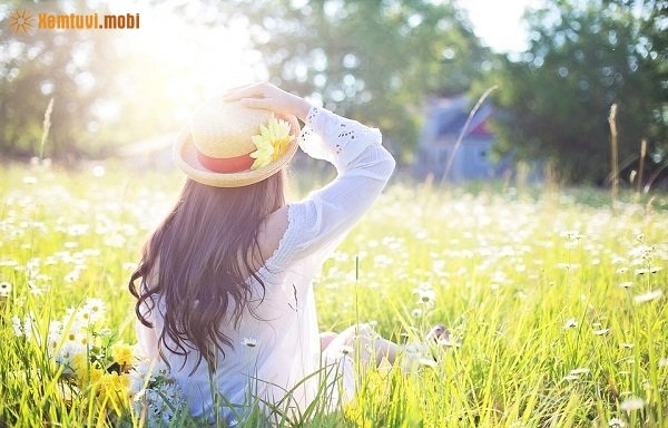 Xem tử vi ngày 1/11/2017 thứ 4