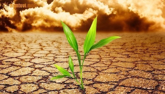 Tử vi ngày 4/10/2017 thứ 4 của 12 con giáp