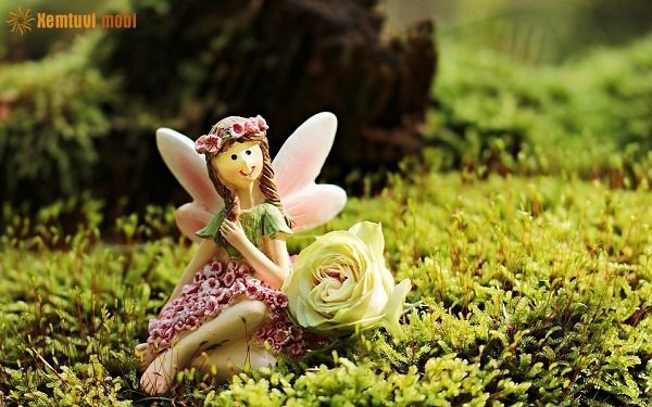 Xem tử vi ngày 5/10/2017 thứ 5 của 12 con giáp